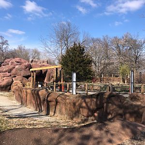 [March 2023] Red Rocks- shelter structure next to reticulated giraffe (Giraffa camelopardalis reticulata) mixed species yard
