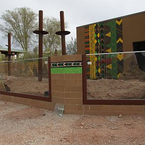 Predator Passage Construction, Meerkat Exhibit - 3/7/23