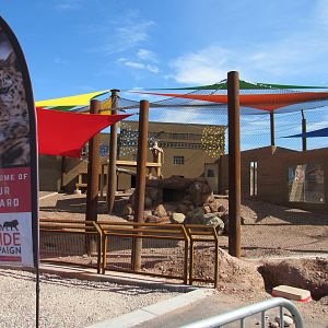 Predator Passage Construction, Amur Leopard Exhibit - 3/7/23