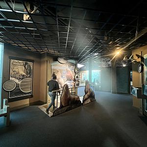 Lower level viewing windows