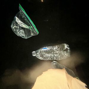 “Jellyfish” Exhibit