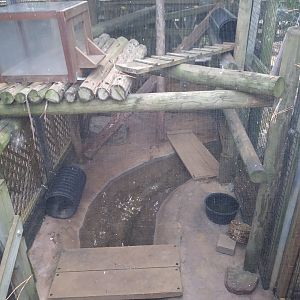 Old Raccoon Enclosure