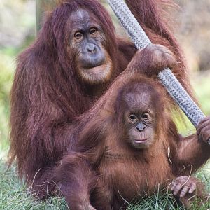 A brother and sister moment