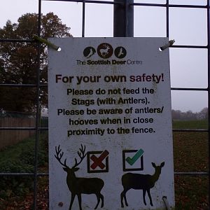 Deer sign