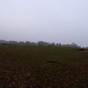 First red deer enclosure