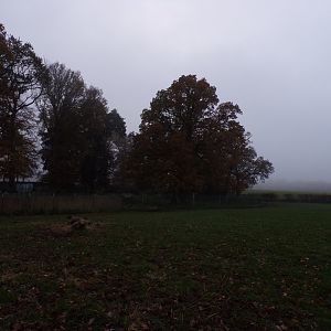 First red deer enclosure (2)