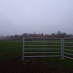 Second red deer enclosure