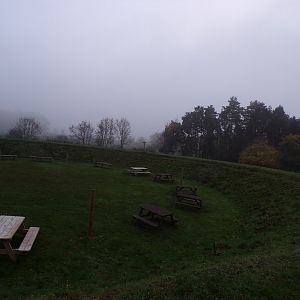 Birds of prey display area