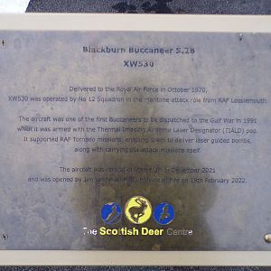 Blackburn Buccaneer sign