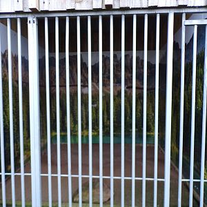 First Saker falcon enclosure