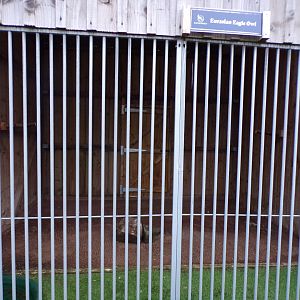Second Eurasian eagle owl enclosure