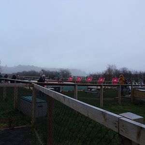 Bouncy castle where the reindeer enclosure was