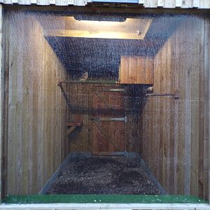 Eurasian kestrel cage