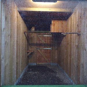 Tawny owl cage