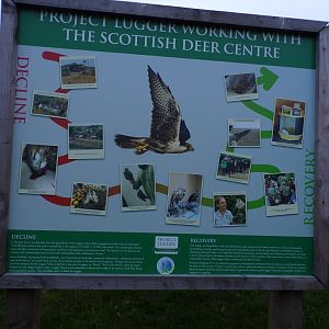 Lugger conservation signage