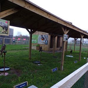 View of tethered bird display