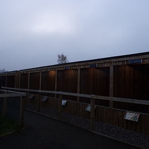View of Birds of prey cages