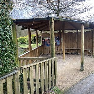 Flamingo viewing area 010323