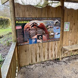Flamingo signage 010323