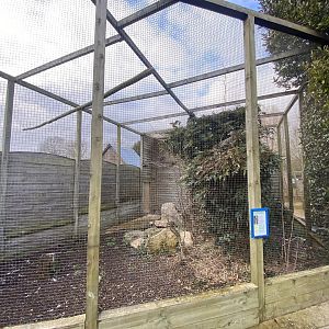Mackinder‘s eagle-owl aviary 010323