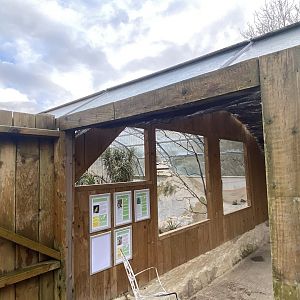 Out of Africa mixed aviary 010323