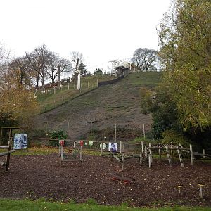 Gelada enclosure 241122