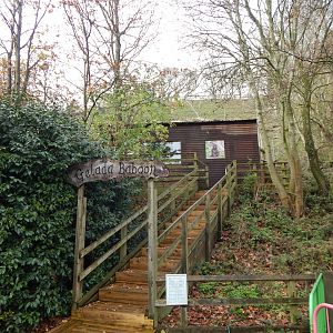 Gelada enclosure 241122
