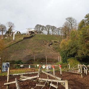 Gelada enclosure 241122