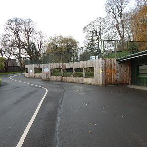 Flamingo enclosure 241122