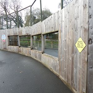 Flamingo enclosure 241122