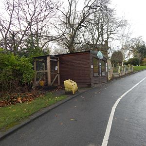 African spurred tortoise enclosure 241122