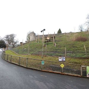 Gelada enclosure 241122
