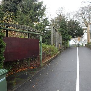 View towards owl aviaries 241122