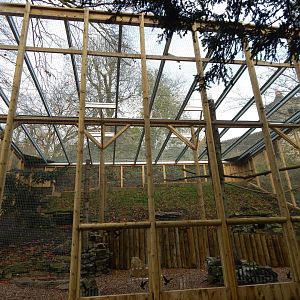 Snowy owl aviary 241122
