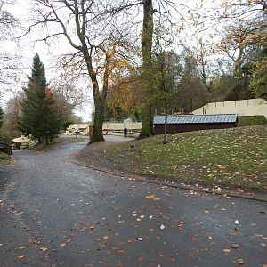 View towards former big cat enclosures 241122