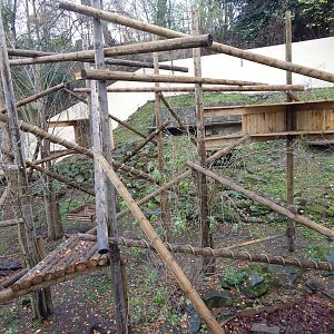 Eurasian wolverine enclosure 241122