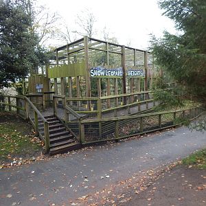 Snow Leopard Heights 241122