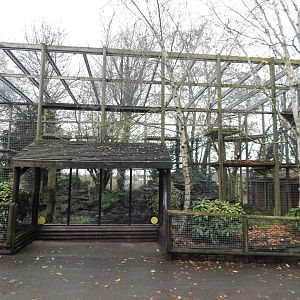 Snow Leopard Heights 241122