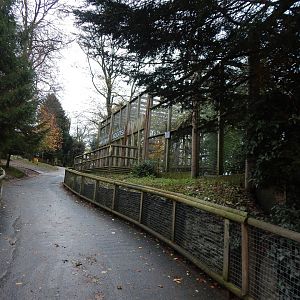 Snow Leopard Heights 241122