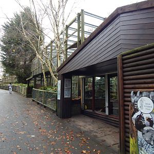 Snow Leopard Heights 241122