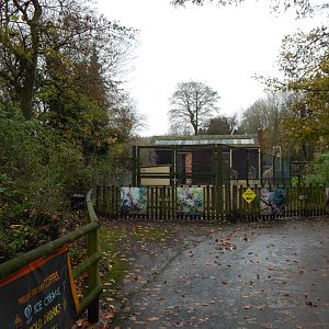 Giraffe enclosure 241122