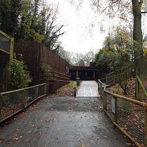 View towards Sumatran tiger enclosure 241122