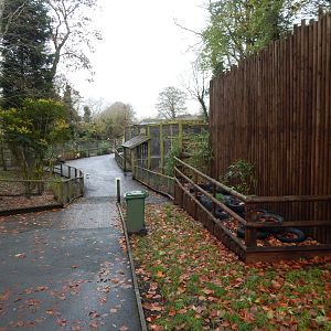 View towards Carpathian lynx enclosure 241122