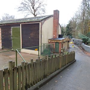 Giraffe enclosure and building work behind 241122