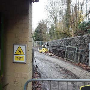 Building work behind Giraffe House 241122