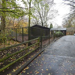 View towards various enclosures 241122