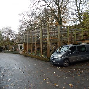 Binturong enclosure 241122
