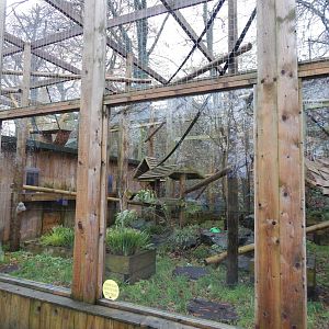 Binturong enclosure 241122