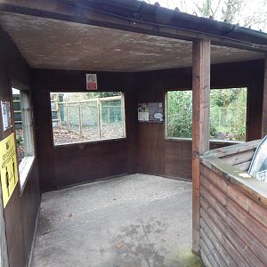 Viewing area - Giant anteaters and Mixed South American enclosure 241122