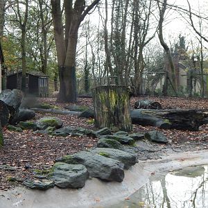 Mixed South American enclosure 241122